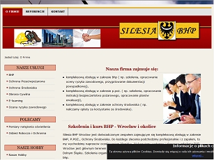 Ocena ryzyka zawodowego w SILESIA BHP